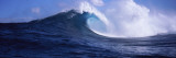 Buy Waves in the Sea, Maui, Hawaii, USA at AllPosters.com