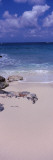 Clouds over the Sea, Island Harbour, Anguilla