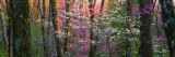 Virginia, Shenandoah National Park