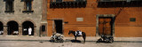 Horse Standing Between Two Motorcycles Parked on a Road, San Miguel De Allende, Guanajuato, Mexico