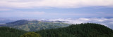 View of San Francisco from Mt Tamalpais, Marin County, California, USA