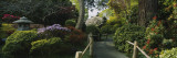 Plants in a Garden, Japanese Tea Garden, San Francisco, California, USA