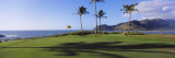 Palm Trees on a Golf Course at the Seaside, Kiele Course, Number 13, Kauai Lagoons Golf Club