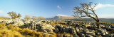 Rocks on a Landscape, Twistleton Scar, Yorkshire Dales, North Yorkshire, Yorkshire and the Humber, 