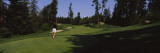 Rear View of a Woman Playing Golf, Idaho, USA