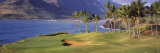 Palm Trees at Seaside, Kiele Course, Number 13, Kauai Lagoons Golf Club, Lihue, Hawaii, USA