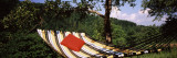 Hammock with Pillows in a Forest, Baden-Wurttemberg, Germany
