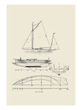 Buy The Gannet at AllPosters.com