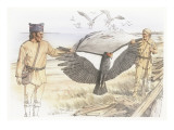 Two Corpsmen are Holding the Outstretched Wings of a Dead Condor