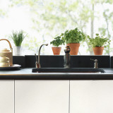 Aromatic herbs 2  (Window Decal) Wall Decal