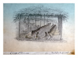 Buy A Banquet Served under an Arbor That Is Covered with Leafy Branches at AllPosters.com