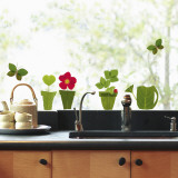 Buy Flowerpots  (Window Decal) at AllPosters.com