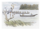 A Heron Perched on a Dead Branch
