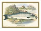 Buy Grilse at AllPosters.com