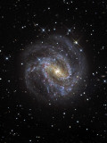 The Southern Pinwheel Galaxy