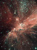 Buy A Population of Infant Stars in the Milky Way Satellite Galaxy, the Small Magellanic Cloud at AllPosters.com