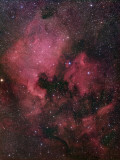 Buy The North American Nebula (NGC 7000) is an Emission Nebula in the Constellation Cygnus at AllPosters.com
