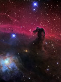 The Horsehead Nebula
