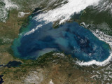 The Black Sea in Eastern Russia is Experiencing an Ongoing Phytoplankton Bloom