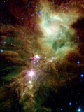 Buy Christmas Tree Cluster at AllPosters.com