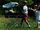 Buy Princess Beatrice is being pushed in pram by Prince william and Harry at AllPosters.com