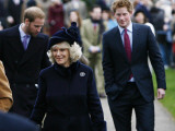 Buy Prince William, Prince Harry and Camilla, Duchess of Cornwall, arrive at Sandringham with members o at AllPosters.com