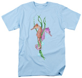 Wildlife-Seahorse Dance