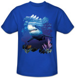 Wildlife-Shark Reef