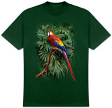 Wildlife-Macaw