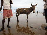 Two Workers Taking Break from Collecting Salt with a Donkey Between Them, Lake Asele