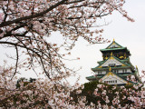 Buy Osaka Castle with Cherry Blossoms at AllPosters.com