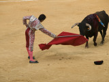 Bullfight at Plaza De Toros De Valencia