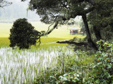 Shuodu Lake (Shuodu Hai)