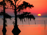 Sunrise at Lake Palourde with Spanish Moss Trees in Silhouette