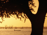 Buy Silhouetted Tree with Fisherman in Canoe on Lake in Background at AllPosters.com