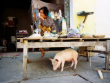 Woman and Pet Pig
