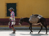 Elderly Woman Walking with Her Donkey