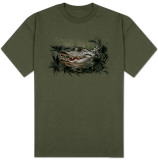Wildlife-Alligator