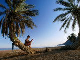 Buy Tourist Reading Book While Sitting on Palm Tree Trunk on Beach, Sinai, Red Sea at AllPosters.com