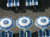 Beach Umbrellas