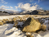 Buy Winter in Lamar Valley at AllPosters.com