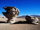 Buy Bizarre Rock Formation known as Arbol De Piedra (Stone Tree) at AllPosters.com