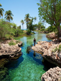 Buy Alligator Hole at AllPosters.com