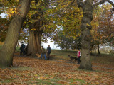 Greenwich Park in Autumn