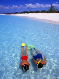 Buy Two People Snorkelling in Blue Water Near Beach at AllPosters.com
