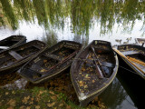 Row Boats Moored at Lakeside at Hever Castle