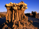 Sand Tufa Formation Near Mono Lake