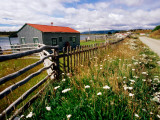 Buy Buildings, Fences and Wildflowers at Oldest Estancia (Cattle Station) in Patagonia at AllPosters.com