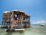 Buy Pelican Bar at AllPosters.com