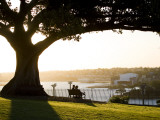 Late Afternoon on Lawn Overlooking Sydney Harbour at Sydney Observatory